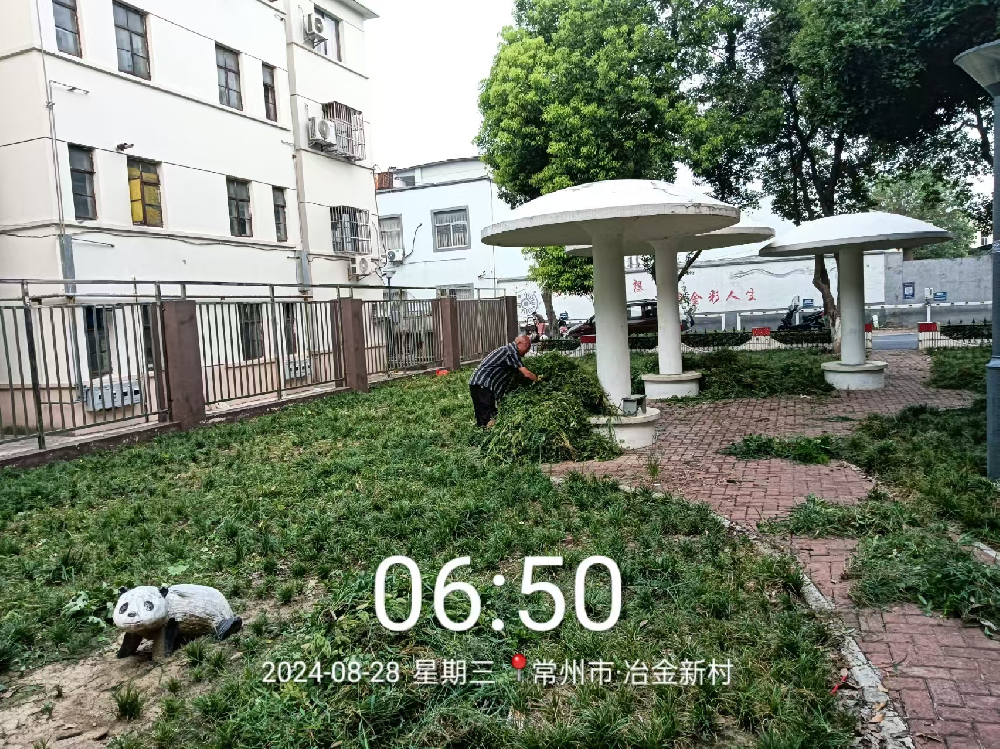 拔草焕新颜，共筑绿色家园