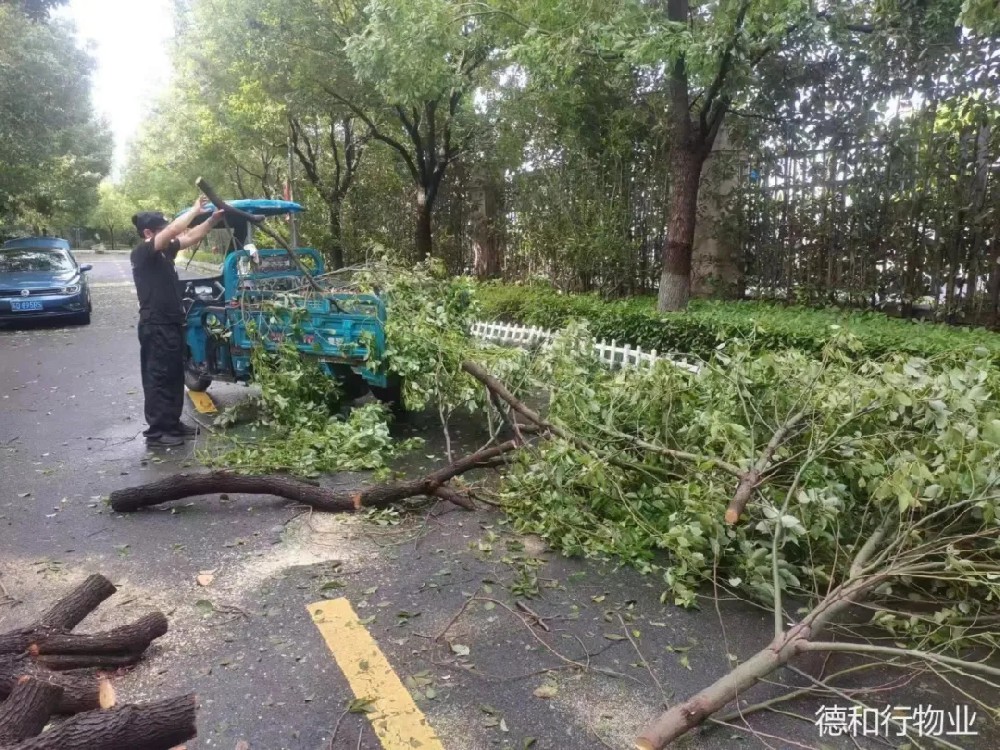 台风中的物业人