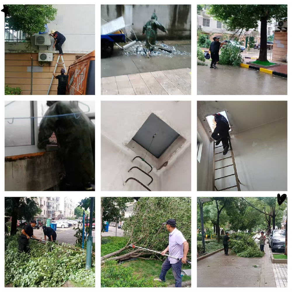 迎风直上 逆水而行