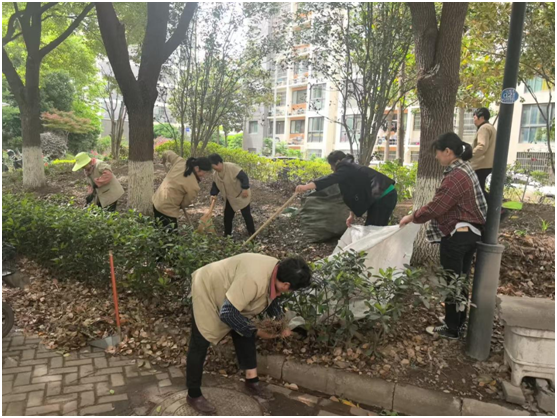 齐心协力清落叶，共筑小区新“净”界