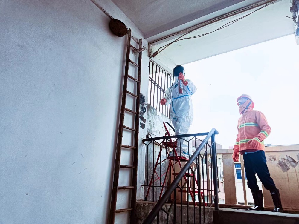 物业勇除“空中隐患” ，巧解马蜂扰民难题