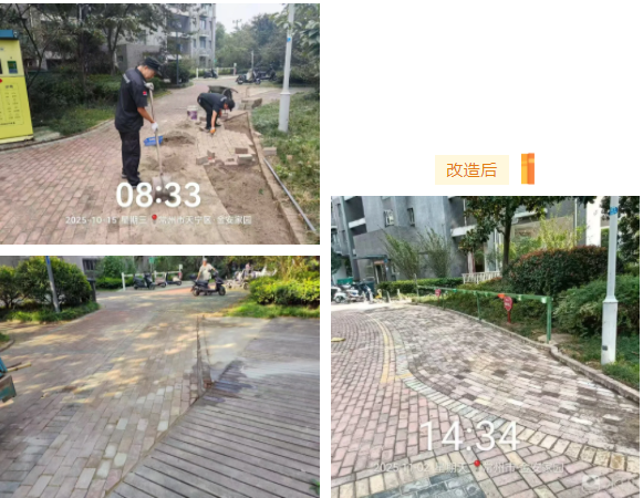 巧用红砖焕新颜,实干服务暖民心